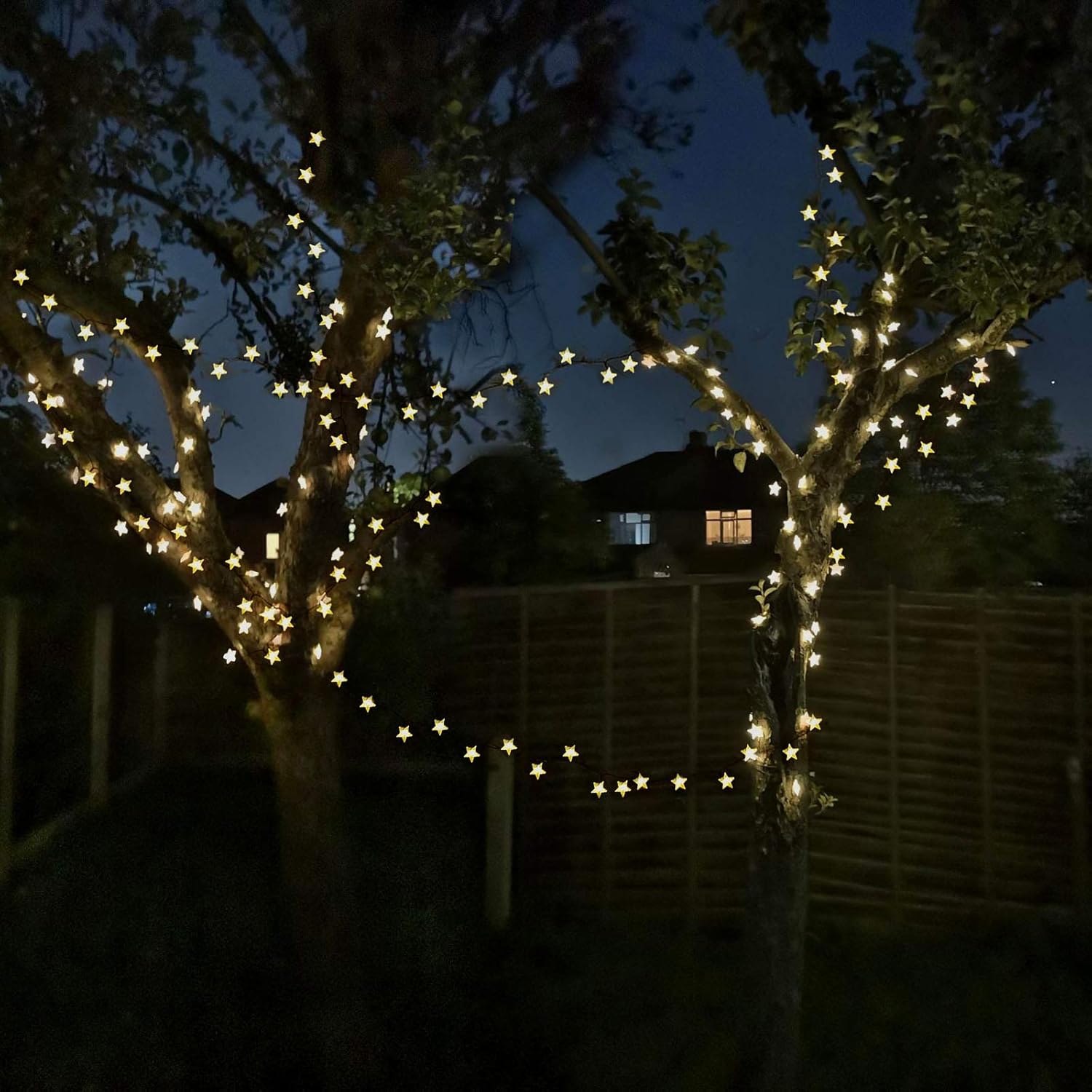 50ft 120 LED Solar Star Fairy  - Led Fairy String Lights 评论和价格